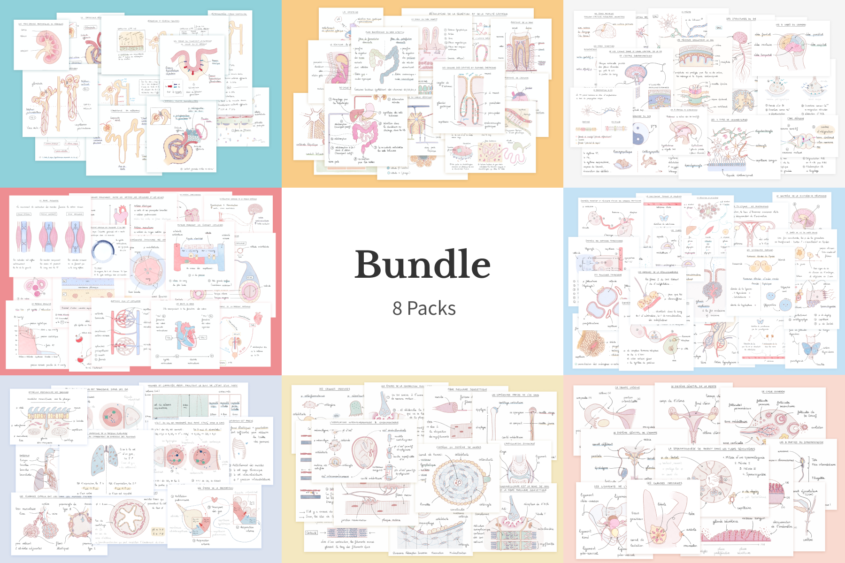 Bundle illustrations anatomie-physiologie